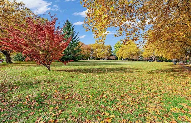 3191 W 23rd Avenue Dunbar