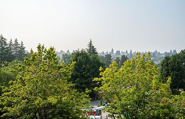 511 2101 Mcmullen Avenue Quilchena