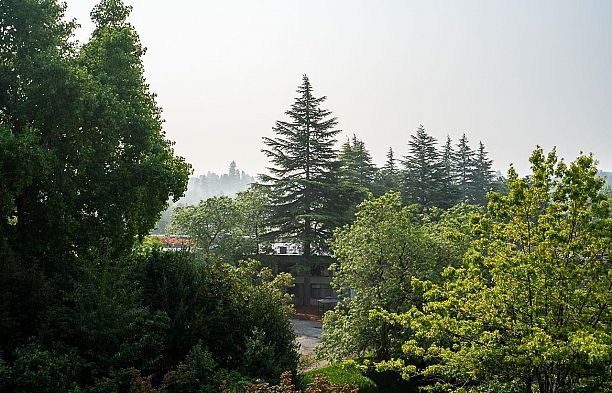 511 2101 Mcmullen Avenue Quilchena