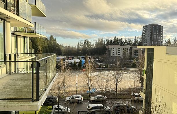 501 3487 Binning Road University VW