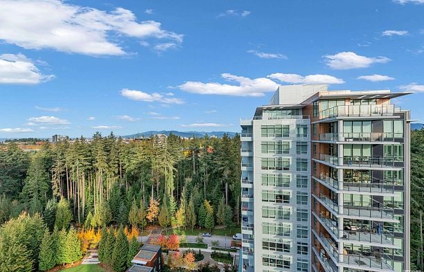 2303 3355 Binning Road University VW