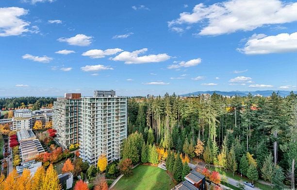 2303 3355 Binning Road University VW