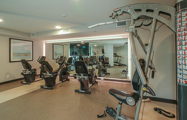 530 3563 Ross Drive University VW