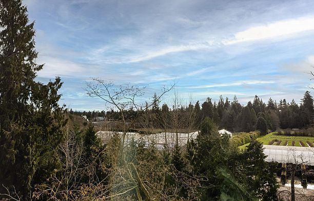 530 3563 Ross Drive University VW