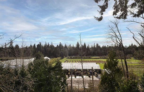 530 3563 Ross Drive University VW