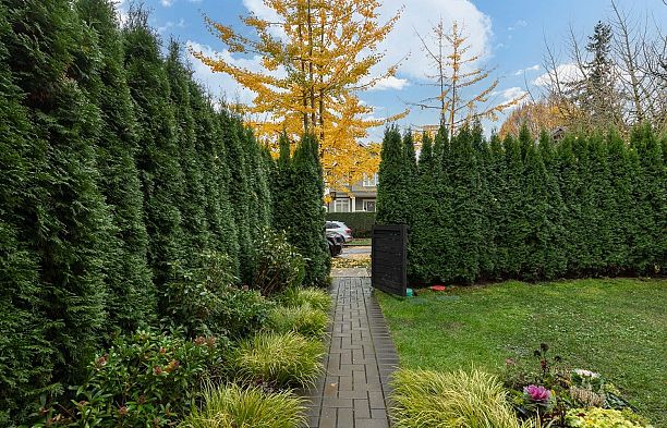 959 E 13th Avenue Mount Pleasant VE