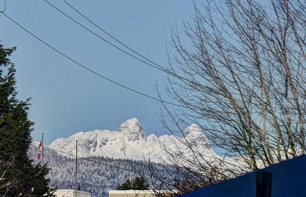 207 677 W 41ST AVENUE, Vancouver BC V5Z 3M4 Cambie