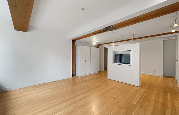 1 528 BEATTY STREET, Vancouver BC V6B 2L3 Downtown VW