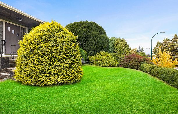 4275 Quesnel Drive MacKenzie Heights