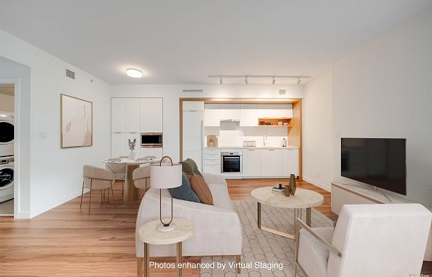 316 1661 Quebec Street Mount Pleasant VE