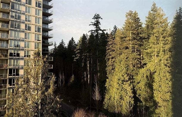 1004 5629 Birney Avenue University VW