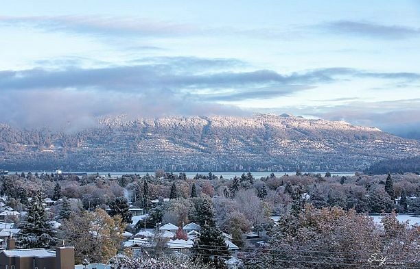 3936 Quesnel Drive Arbutus