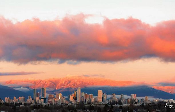 3936 Quesnel Drive Arbutus