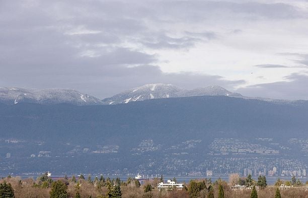 3936 Quesnel Drive Arbutus