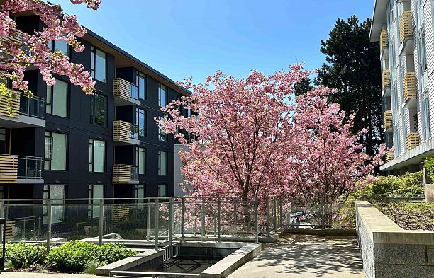 609 7428 Alberta Street South Cambie