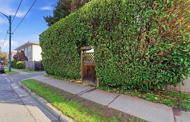 3662 Oak Street Cambie