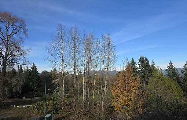 1 98 W 37th Avenue Cambie