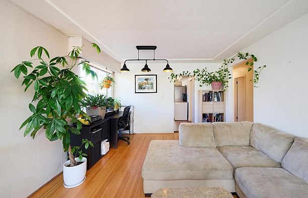 50 E 37th Avenue Main