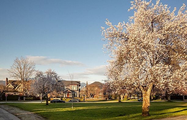 2715 W 31st Avenue MacKenzie Heights