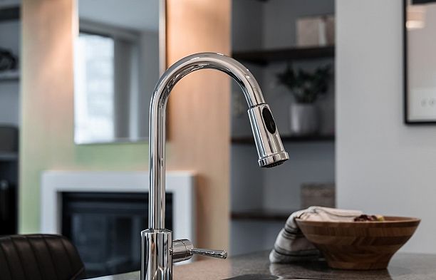 1102 1225 Richards Street Downtown VW