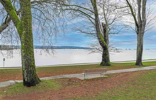 202 1280 Nicola Street West End VW