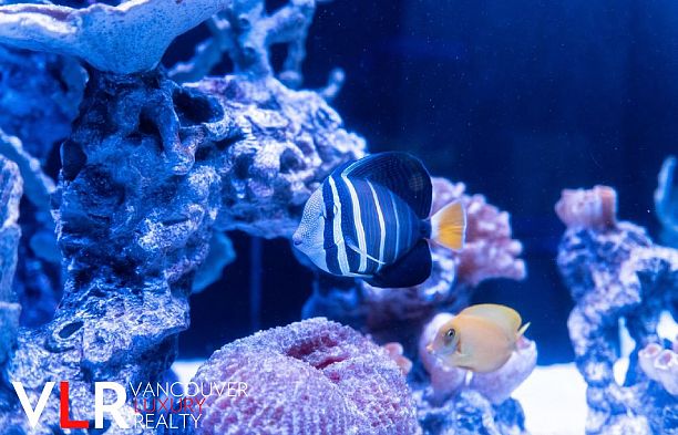 PH 199 DRAKE STREET, Vancouver BC V6Z 2Y8 Yaletown