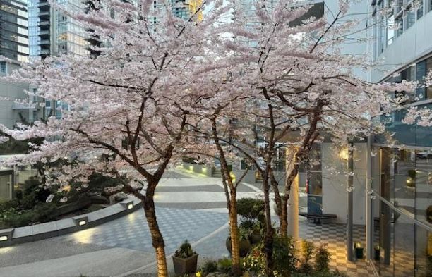 TH20 1281 W Cordova Street Coal Harbour