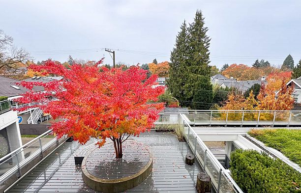 301 3333 Main Street Main