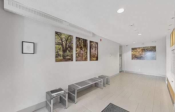 515 3462 Ross Drive University VW