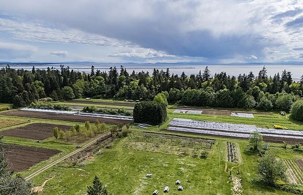 515 3462 Ross Drive University VW