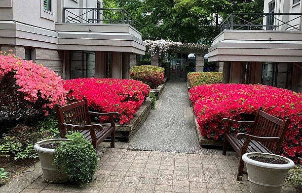 E102 628 W 12th Avenue Fairview VW