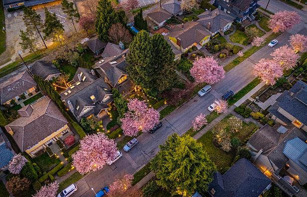 4049 W 27th Avenue Dunbar