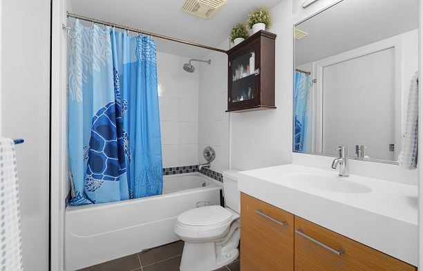 709 2770 Sophia Street Mount Pleasant VE