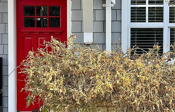 922 W 15th Avenue Fairview VW