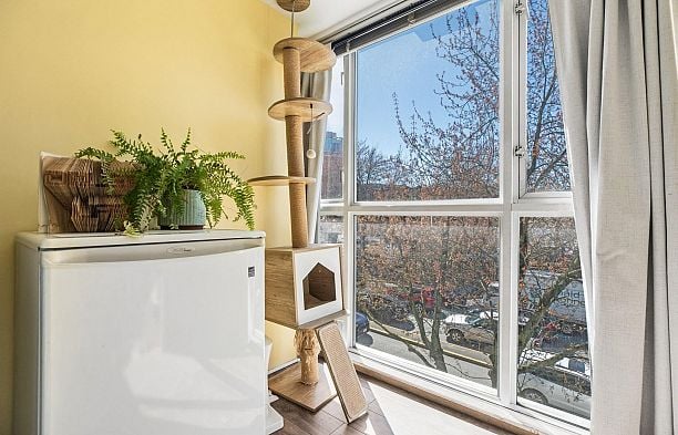 219 288 E 8th Avenue Mount Pleasant VE