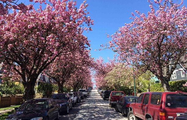 723 E 12th Avenue Mount Pleasant VE