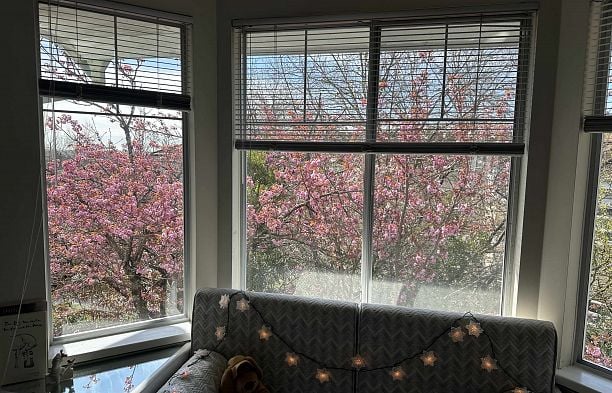 233 Waterleigh Drive Marpole