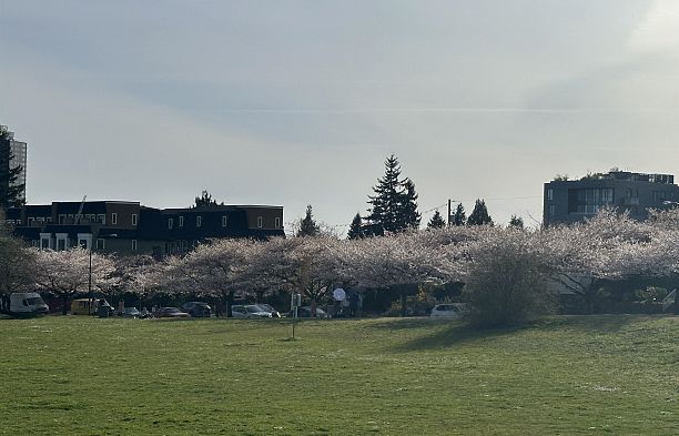 233 Waterleigh Drive Marpole