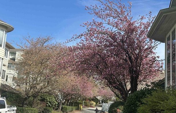 233 Waterleigh Drive Marpole