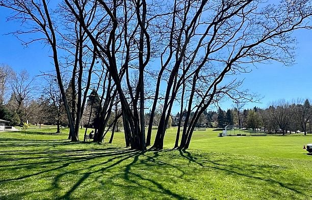 1314 4655 Valley Drive Quilchena