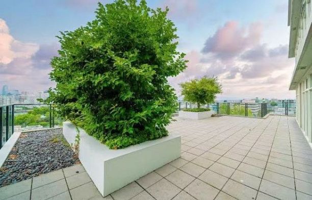 903 2411 Heather Street Fairview VW