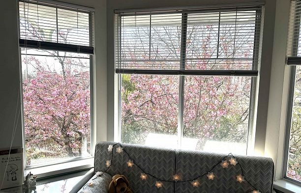 233 Waterleigh Drive Marpole