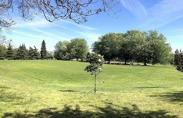 233 Waterleigh Drive Marpole