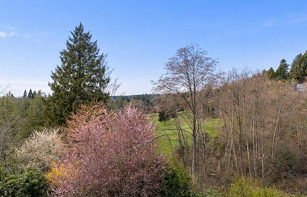 2236 Yewbrook Place Southlands