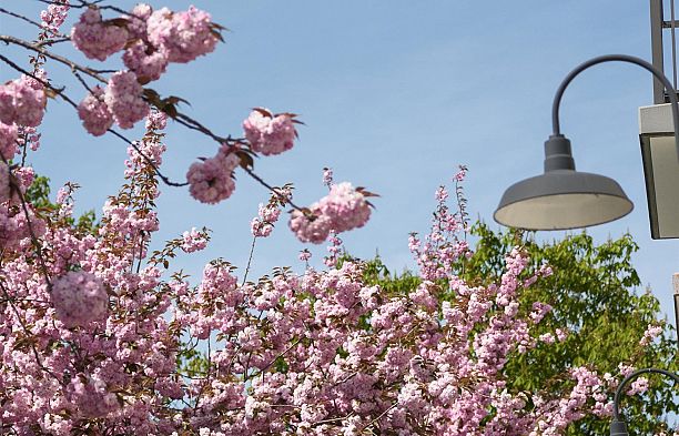 201 3595 W 26th Avenue Dunbar