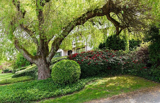 2296 W 32nd Avenue Quilchena
