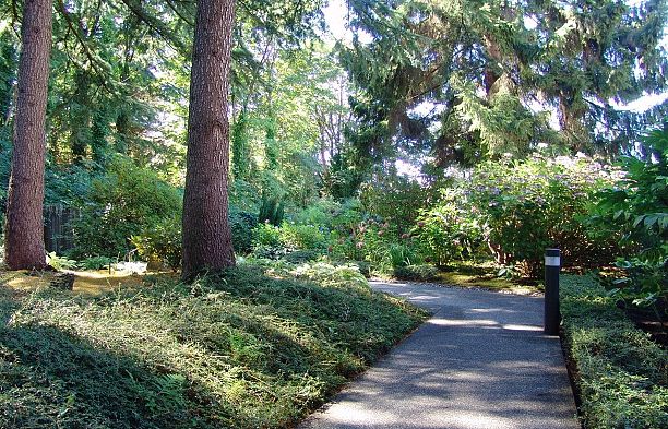 311 4900 Cartier Street Shaughnessy