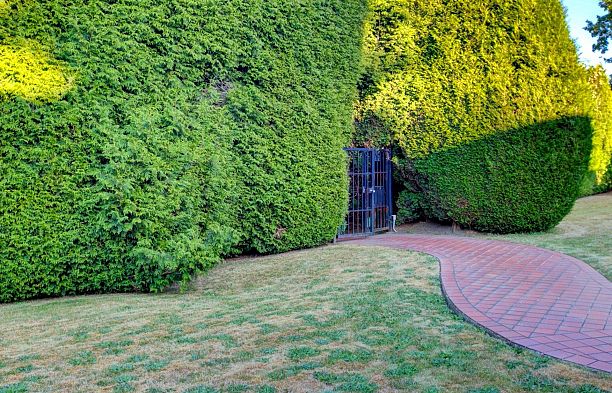 5275 Granville Street Shaughnessy