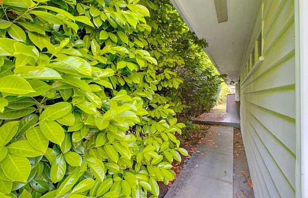 5275 Granville Street Shaughnessy