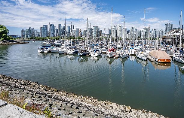 313 674 Leg In Boot Square False Creek